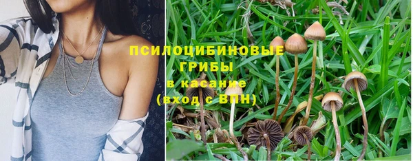 apvp Алзамай