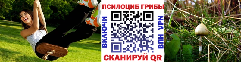 Псилоцибиновые грибы Magic Shrooms  купить наркоту  Сатка 